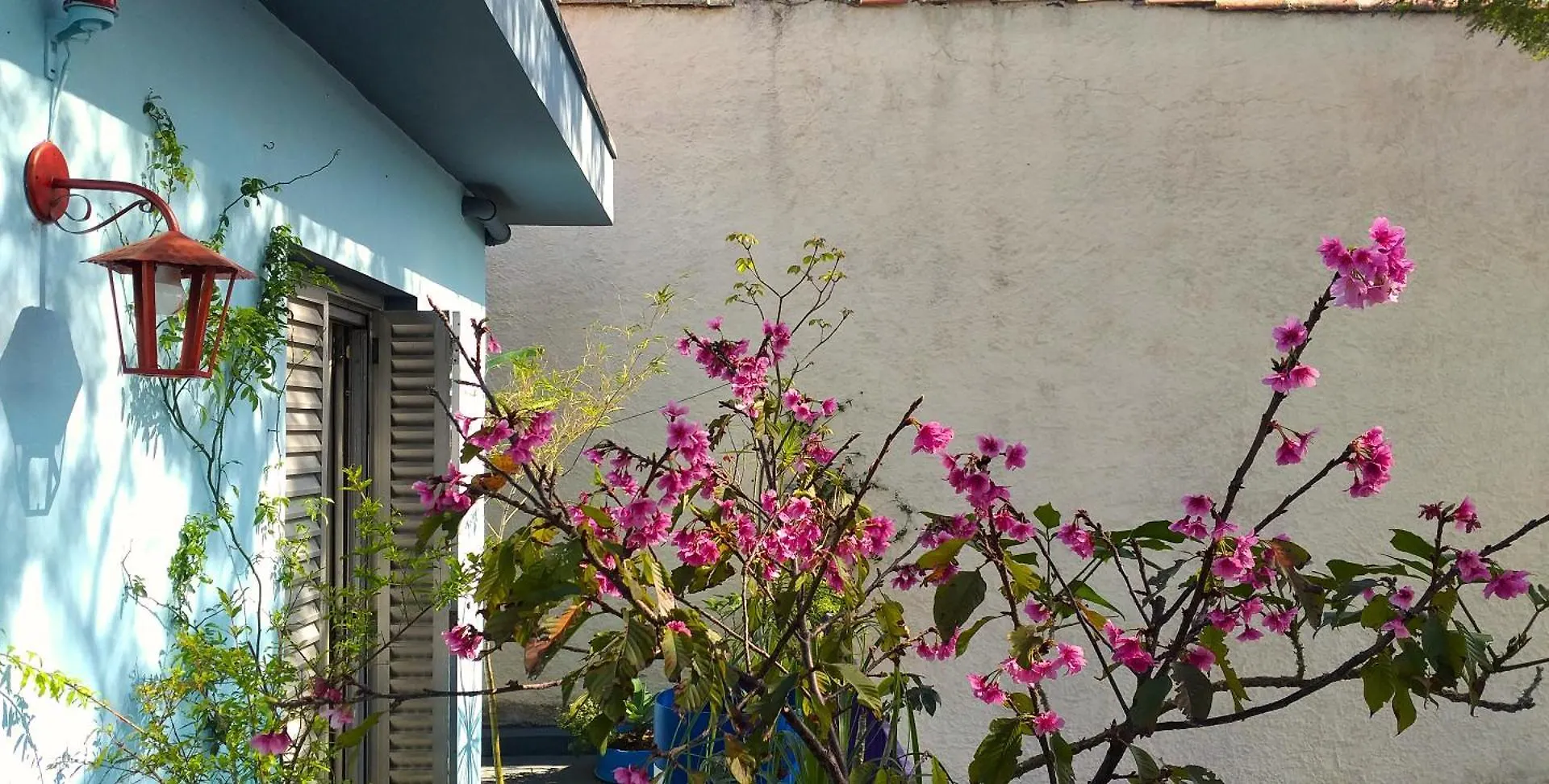 Micasa Hostel - Congonhas Sao Paulo