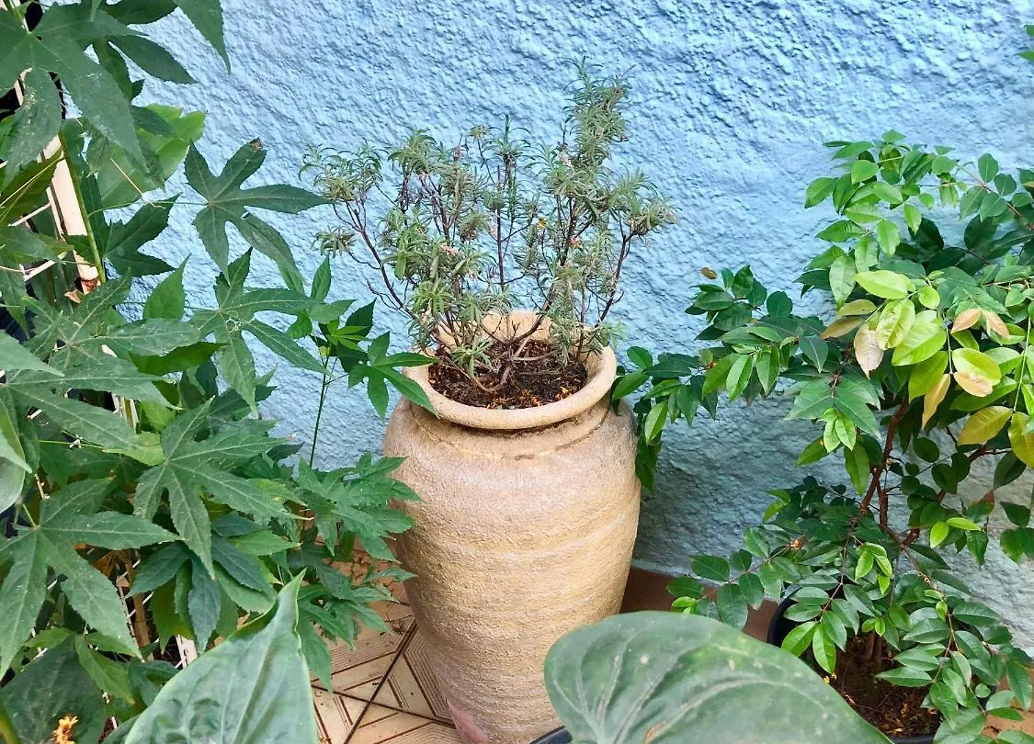 Micasa Hostel - Congonhas São Paulo
