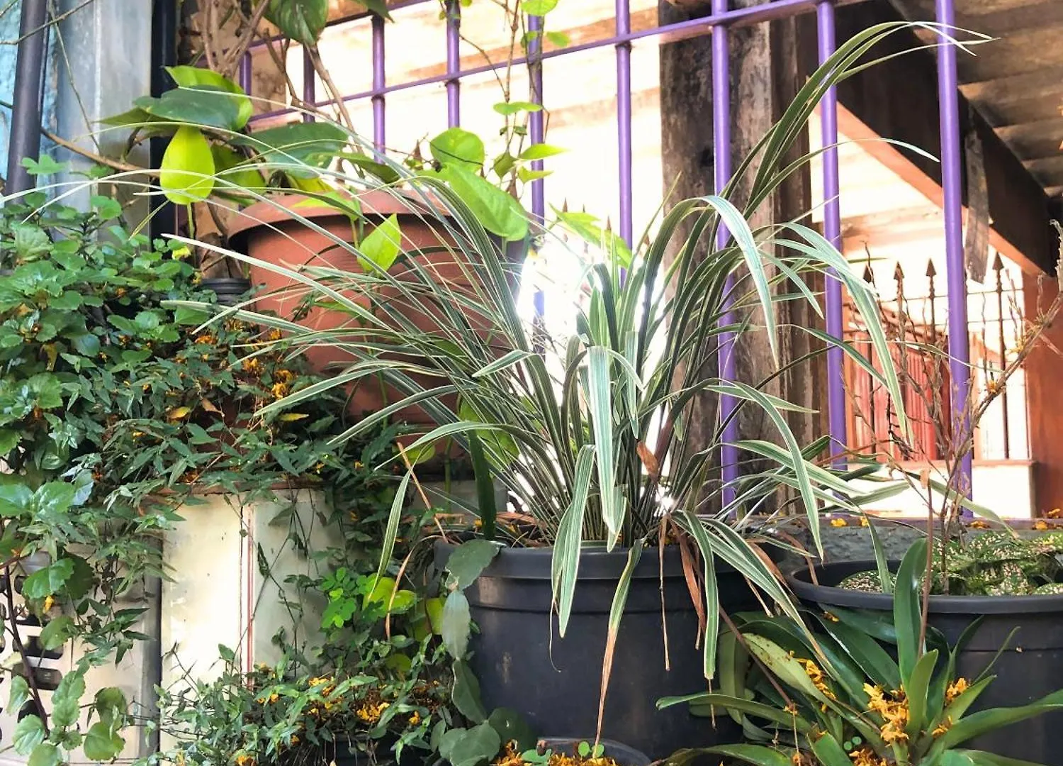 Micasa Hostel - Congonhas São Paulo