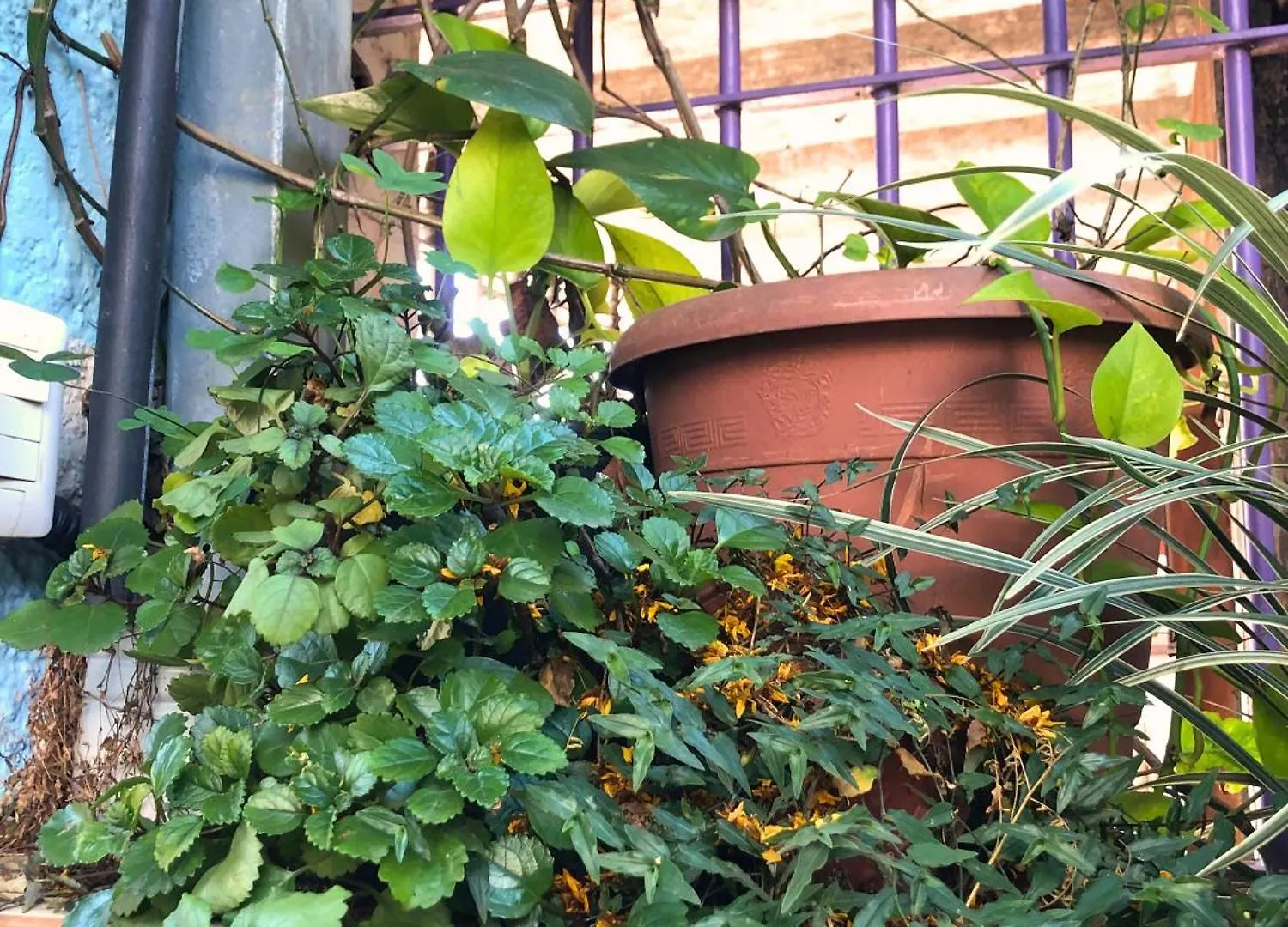 Micasa Hostel - Congonhas São Paulo